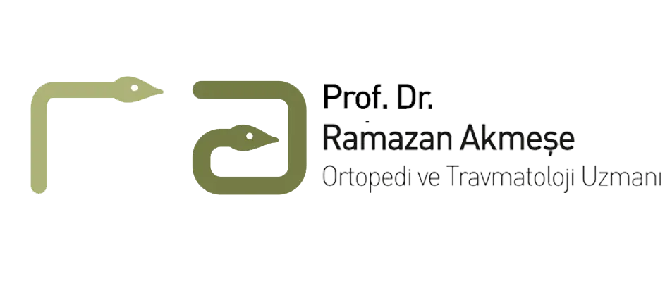 Prof. Dr. Ramazan Akmeşe